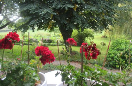 Val de Gatine Bed & Breakfast | La Maison prés du ruisseau Chambre jaune
