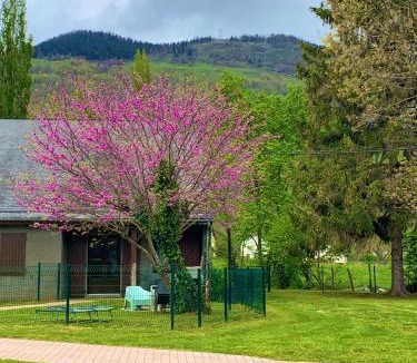 Bielle Apartment | La Suite Unique - Le jardin sur les Pyrénées- vue panoramique montagne -jardin clôturé privé de 100m2-Parking-Linge de lit et serviettes compris-