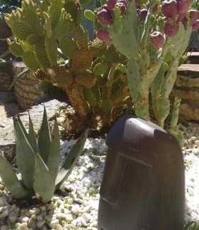 La Jarne Bed & Breakfast | La Touline