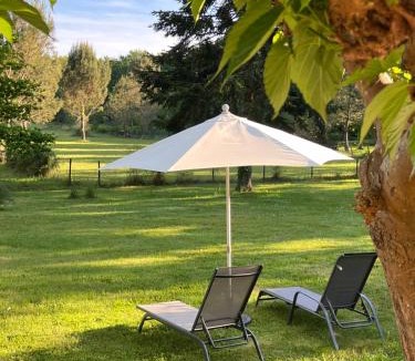 Seignosse Bed & Breakfast | Laguillotte