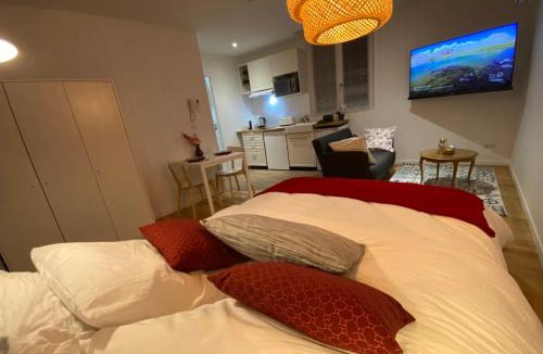 Agen Apartment | Le Charme - Au Coeur d'Agen - Self Checkin - Wifi - Netflix - Smart TV - Luqs fr
