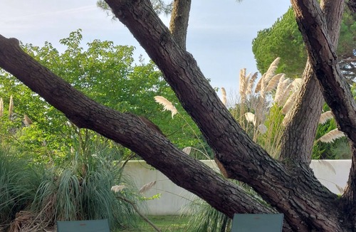 Les Portes-en-Re House | Le Clos Ste Marie : Les Portes-en-Ré