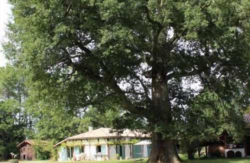 Luglon House | Le Gîte de Marquin - Luglon