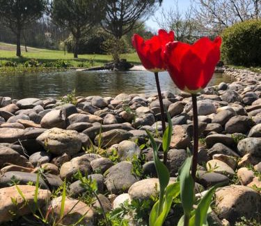 Saint-Leon House | Le Hameau des Coquelicots