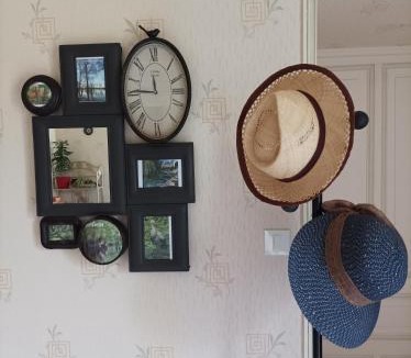 Saint-Hilaire-la-Palud Apartment | Le logis de LANGE apt Les Aigrettes