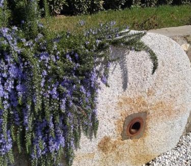 Lastra a Signa House | Le Macine di San Salvadore