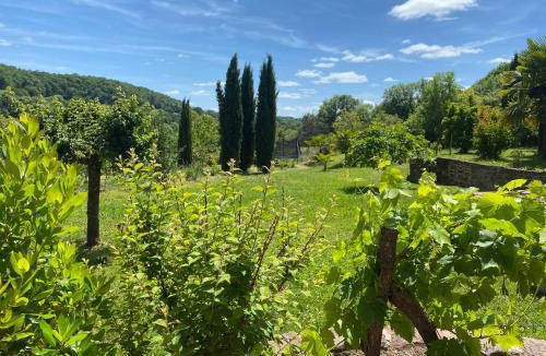 Collonges-la-Rouge Bed & Breakfast | Le palmier d'Alice