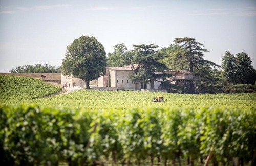 Saint-Emilion Bed & Breakfast | Le Relais de Franc Mayne Saint Emilion