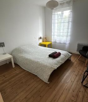 Lussac-les-Chateaux Apartment | LE REPOS DU VOYAGEUR T3 45 m2 tout confort