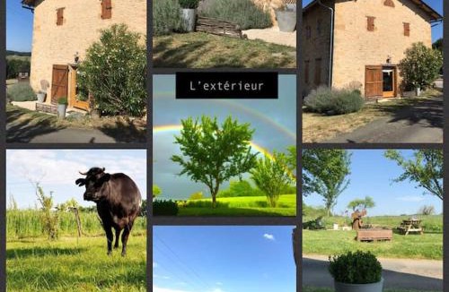 Le Buisson-de-Cadouin House | « Le Vieux Hangar » gîte à la ferme