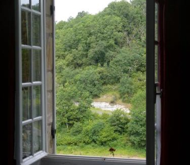 Limeuil Bed & Breakfast | Les chambres d'hôtes au bon accueil