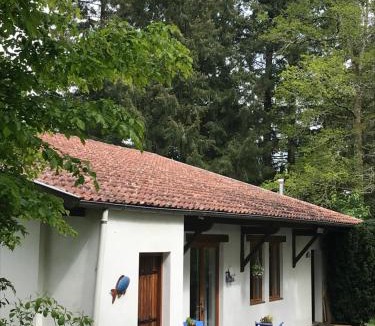 Saint-Junien House | L’Etang Carp fishing lake and Gite