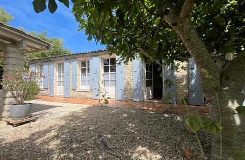 Domino House | Lisière de Forêt de Domino