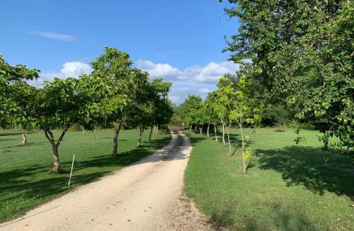Saint-Etienne-de-Villereal House | Lovely gites with private pool, privacy & spacious garden