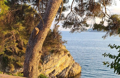 Le Mourillon Villa | Magnificent waterfront home