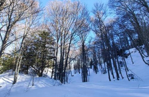 Bielle Apartment | Mailh- Massibé T2 5 pers près du ski linge de maison inclus parking tout confort jardin clos