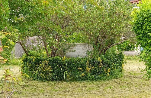 Jurancon House | Maison Entre Ville et Campagne, au Pied des Coteaux du Jurançon