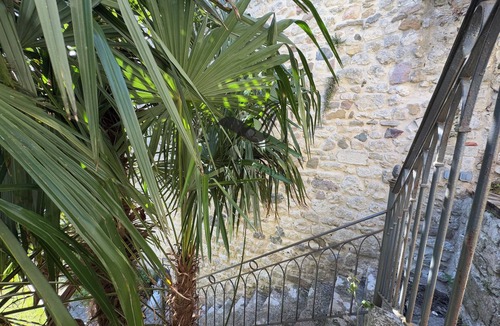 Tonnay-Charente House | Maison M - Spacious house with private pool