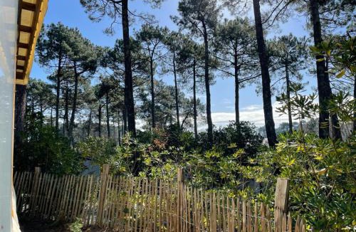 Claouey Resort | Maison mobilhome sans vis à vis au calme et en hauteur