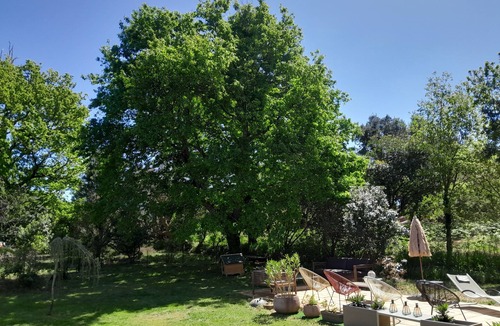 Messanges House | Messanges plage: large wooded park, center all on foot