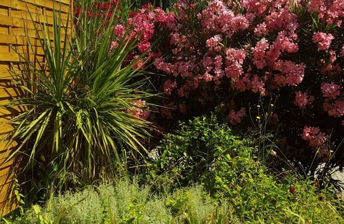 Les Restanques Apartment | N ° 1 2-person apartment "Standard" located in lush greenery.