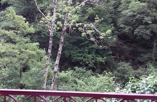Laruns Apartment | Nature break in the Ossau Valley - Quiet apartment with private park
