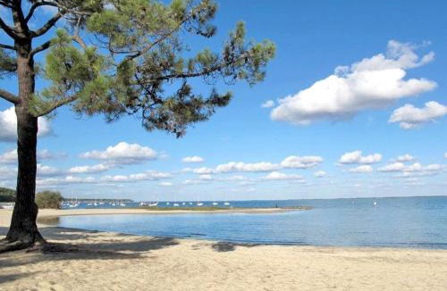 Maubuisson Apartment | nid douillet au milieu des pins entre lac et océan
