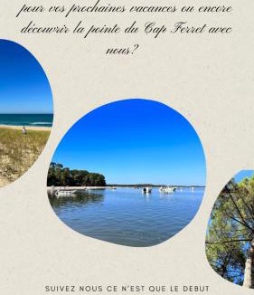 Claouey Other | Notre bulle du ferret