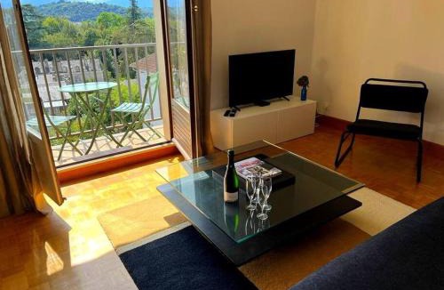 Centre Ville Apartment | Pau centre vue sur les Pyrénées pour 2 nuits au minimum