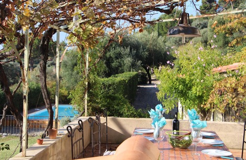 Sanary-sur-Mer House | Pretty farmhouse surrounded by vineyards and olive trees will