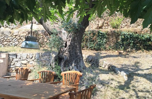 Sanary-sur-Mer House | Pretty farmhouse surrounded by vineyards and olive trees will