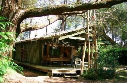 Soorts-Hossegor House | Promo juillet Wooden house in the heart of the Landes forest near Lac d'Hossegor