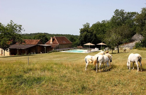 Tourtoirac House | Property ENTIEREMENT PRIVATIVE on 4 hectares ! Heated pool-great luxury