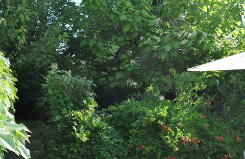 Le Grand-Village-Plage House | quiet house near the forest, cyclabe tracks, beach