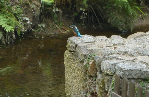 Busserolles House | Riverside Mill in walking distance of village with Restaurant / Bar & Bakery