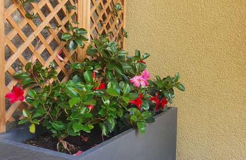 Lamarque Apartment | Rural gite in the heart of the Médoc.