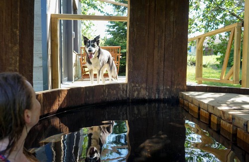 Riocaud Cabin | Séjour Détente Dans une Tiny House et son Bain Bordelais