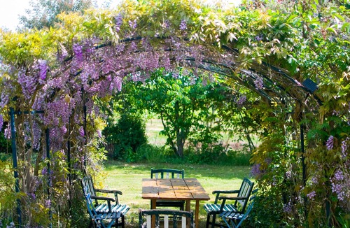 Taillecavat House | Secluded House Attached To Large Garden, Orchard And Allotment