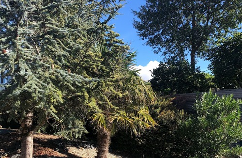 LHoumeau House | Single storey house renovated 900 m from the sea in a charming village near La Rochelle and the Ile de Re 5 mins