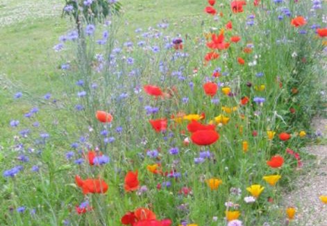 Tonnay-Charente Apartment | Studio avec jardin clos et wifi a Tonnay Charente