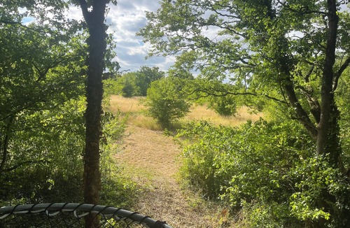 Princay Cabin | Take a breath. Feel it. Reconnect. Make nature your most beautiful room.