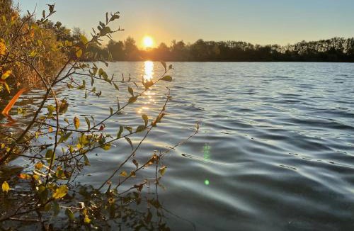 Le Vigeant Other | Tente luxe vue Etang avec jacuzzi 4