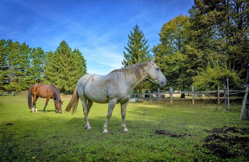 Rancogne Bed & Breakfast | Un Logis en Angoumois, a warm and authentic place to stay