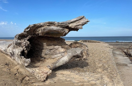 Eysines House | Vacances Bordelaise Proche de L'océan