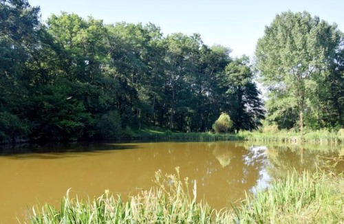 Gueyze House | Vacation home Le Mazeré in Sos - 4 persons, 2 bedrooms