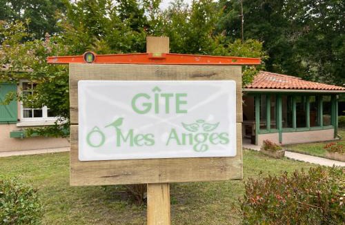 Saint-Julien-en-Born House | villa 8 personnes ô Mes Anges