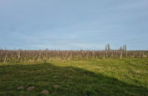 Monbazillac Villa | Villa au cœur des vignes