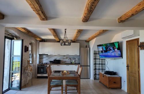 Drasnice Apartment | Villa Jerković-Secluded house and apartment with pool