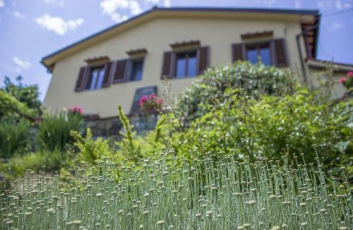 Polcanto House | Villa Porcigliano Olive Grove