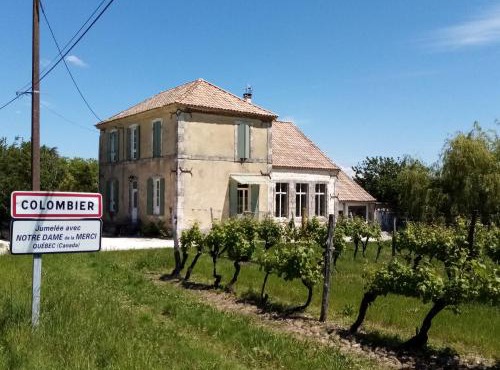 Property Image